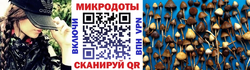 Купить закладки Грозный Галлюциногенные грибы MAGIC MUSHROOMS